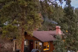 31327 Kings Valley W, Conifer, CO 80433 - Photo 8