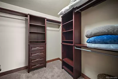 4225 Walker Vista Heights, Colorado Springs, CO 80908 - Photo 24