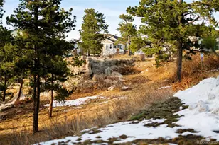 1417 Pineridge Ln, Castle Pines, CO 80108 - Photo 28