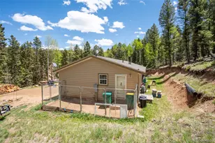 44 Silver Trail, Florissant, CO 80816 - Photo 16