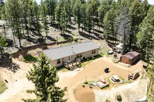 44 Silver Trail, Florissant, CO 80816 - Photo 28