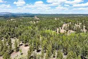 44 Silver Trail, Florissant, CO 80816 - Photo 34