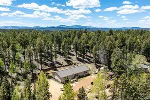44 Silver Trail, Florissant, CO 80816 - Photo 30