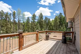 44 Silver Trail, Florissant, CO 80816 - Photo 14