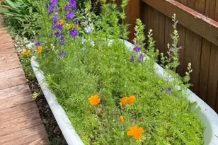 476 S 35th Ct, Brighton, CO 80601 - Photo 38