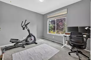 672 English Sparrow Trail, Highlands Ranch, CO 80129 - Photo 20