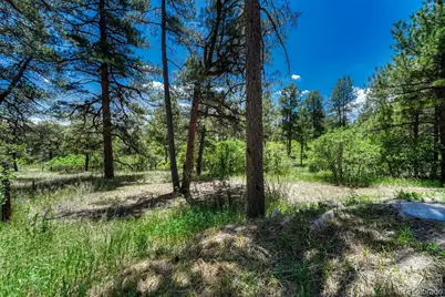9306 S Curtis Road, Larkspur, CO 80118 - Photo 46