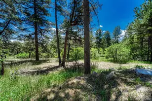 9306 S Curtis Rd, Larkspur, CO 80118 - Photo 46