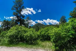 9306 S Curtis Rd, Larkspur, CO 80118 - Photo 48