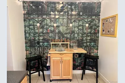 1047 N Meade Street, Denver, CO 80204 - Photo 14