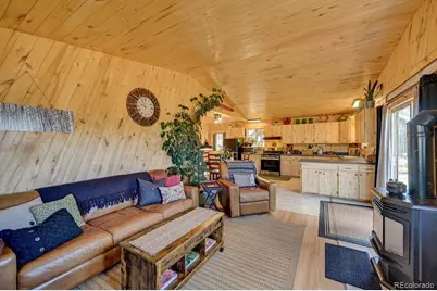33733 County Road 373A, Buena Vista, CO 81211 - Photo 12