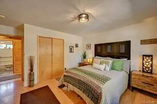 33733 Co Rd 373A, Buena Vista, CO 81211 - Photo 14