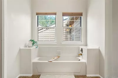 6664 S Webster Street, Littleton, CO 80123 - Photo 20