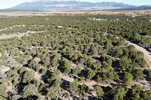 Lot 617 Pico Del Questa, Walsenburg, CO 81089 - Photo 1