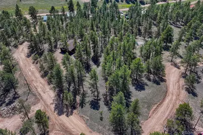 101 Dunlap Drive, Florissant, CO 80816 - Photo 34