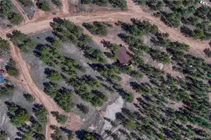 101 Dunlap Dr, Florissant, CO 80816 - Photo 44