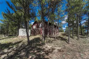 101 Dunlap Dr, Florissant, CO 80816 - Photo 26