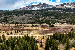 2246 Co Rd 4, Alma, CO 80420 - Photo 1