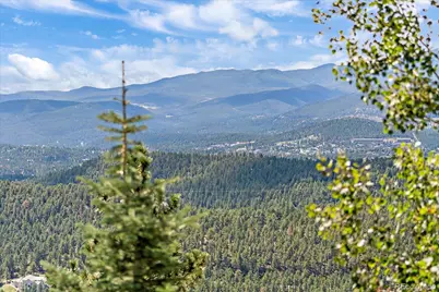 1029 Blue Grass Trail, Evergreen, CO 80439 - Photo 46