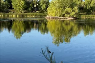 1304 Snowberry, Louisville, CO 80027 - Photo 22