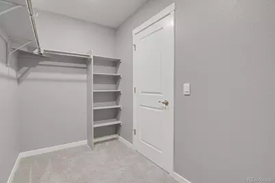 17941 Sky Pilot Avenue, Parker, CO 80134 - Photo 22