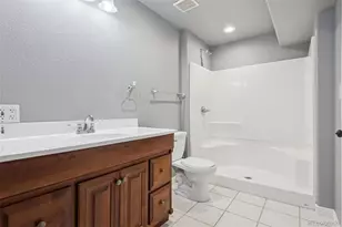 508 English Sparrow Trail, Highlands Ranch, CO 80129 - Photo 28