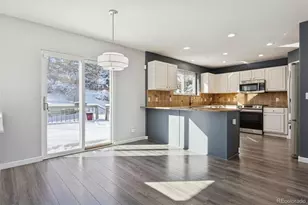 508 English Sparrow Trail, Highlands Ranch, CO 80129 - Photo 10