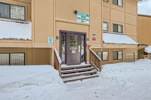 9800 Ryan Gulch Rd, Silverthorne, CO 80498 - Photo 14