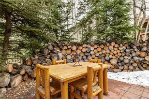 53 Burgundy Cir, Silverthorne, CO 80498 - Photo 4