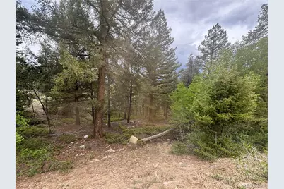 30304 Aspen Turn, Buena Vista, CO 81211 - Photo 4