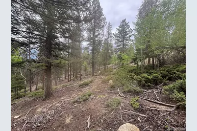 30304 Aspen Turn, Buena Vista, CO 81211 - Photo 6