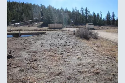 125 Tressel Trail, Hartsel, CO 80449 - Photo 8