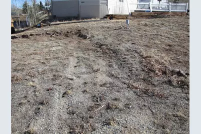 125 Tressel Trail, Hartsel, CO 80449 - Photo 6