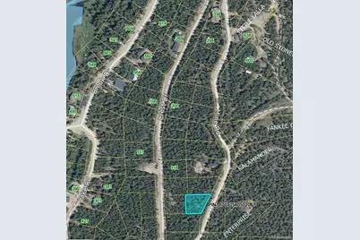 Lot 89 Mine Road, Idaho Springs, CO 80453 - Photo 2
