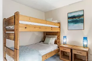 412 S Main St, Breckenridge, CO 80424 - Photo 20