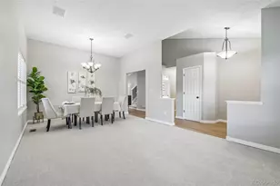 9805 Foxhill Cir, Highlands Ranch, CO 80129 - Photo 8