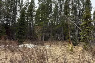 111 Silver Creek Rd, Idaho Springs, CO 80452 - Photo 1