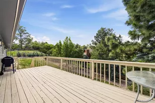 5919 Irish Pat Murphy Dr, Parker, CO 80134 - Photo 38