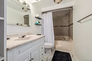 5139 E 96th Pl, Denver, CO 80229 - Photo 16