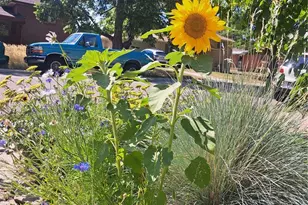 6164 Brentwood St, Arvada, CO 80004 - Photo 40