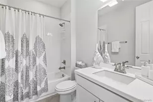 3771 White Rose Loop, Castle Rock, CO 80108 - Photo 6