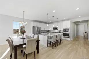 3771 White Rose Loop, Castle Rock, CO 80108 - Photo 14