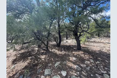 2723 Happy Hollow Way, Crestone, CO 81131 - Photo 2