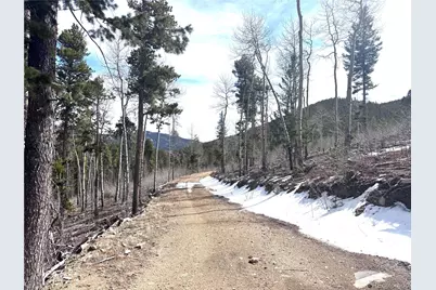 001 Seldom Seen Road, Golden, CO 80403 - Photo 10