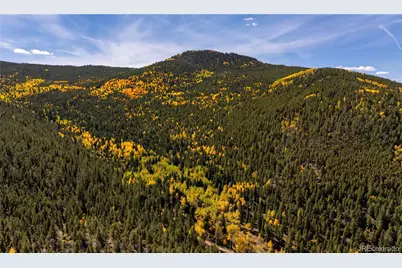 001 Seldom Seen Road, Golden, CO 80403 - Photo 6