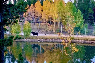 16903 Hwy 119, Black Hawk, CO 80422 - Photo 42