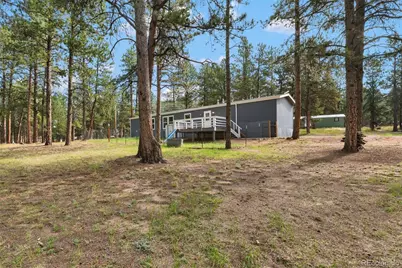 27650 Triple B Road, Woodland Park, CO 80863 - Photo 6