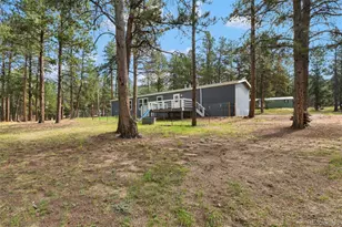 27650 Triple B Rd, Woodland Park, CO 80863 - Photo 6