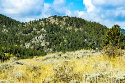 802 Marmot Drive, Red Feather Lakes, CO 80545 - Photo 18