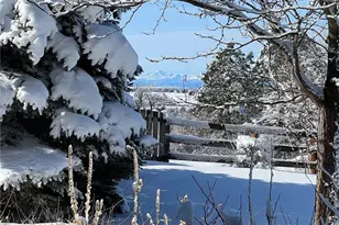 11331 Bell Cross Cir, Parker, CO 80138 - Photo 46